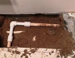 洛阳市测漏水哪家好