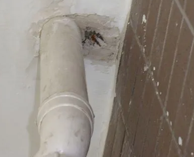 洛阳市漏水检测哪家好