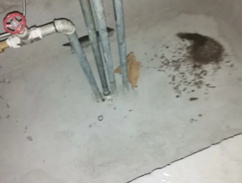 洛阳市卫生间测漏水价格明细